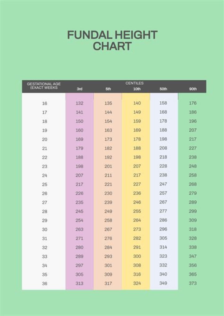 A Comprehensive Guide To His Age, Height, And Background