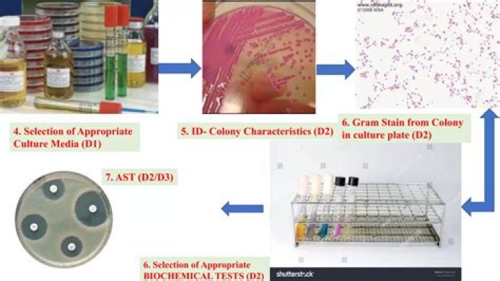 All Biochemical Pathways Share A Common Thread