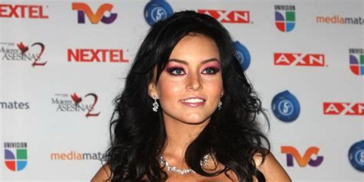 Angelique Boyer Net Worth ·