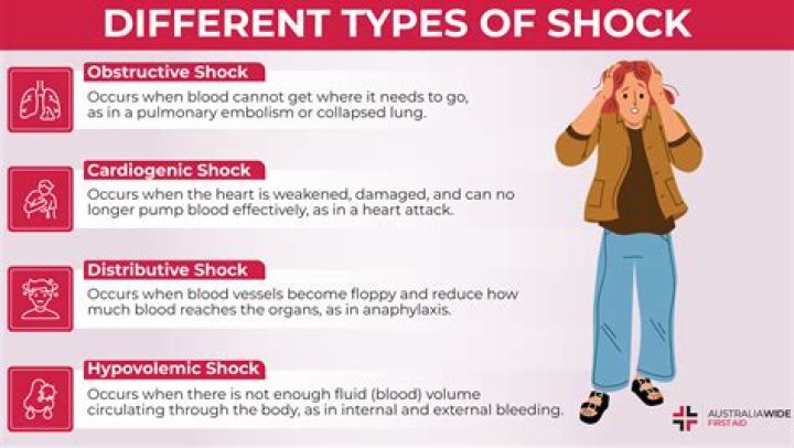 Discoveries That Will Shock And Inform