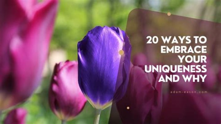 Embracing Uniqueness And Challenging Norms
