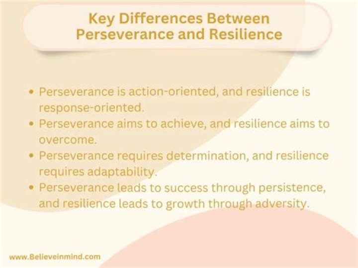 The Epitome Of Perseverance And Resilience