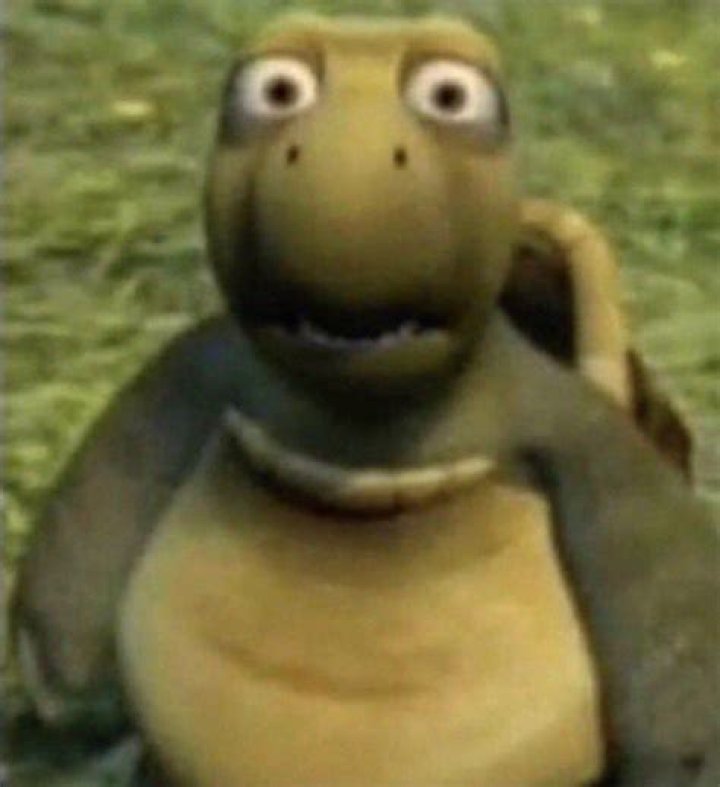 Turtle Meme Over The Hedge: Hilarious Memes And GIFs