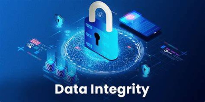 Unraveling Academic Integrity And Data Security