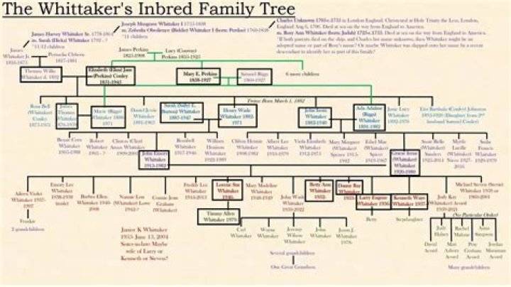 Unveiling The Cultural Tapestry Of Robert Whittaker's Ancestry: Discoveries And Insights
